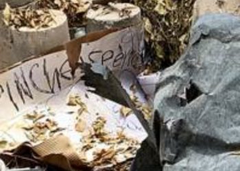 Localizan cuerpo mutilado y embolsado en la capital