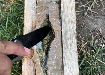 PREVENCIÓN Y REINSERCIÓN SOCIAL INFORMA SOBRE DECOMISO DE DROGA OCULTA ENTRE MADERA