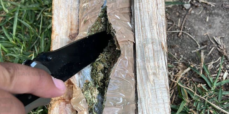 PREVENCIÓN Y REINSERCIÓN SOCIAL INFORMA SOBRE DECOMISO DE DROGA OCULTA ENTRE MADERA