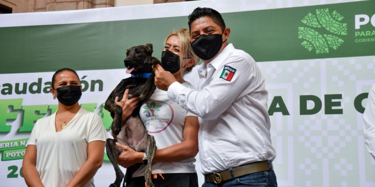 EN SLP SE DEFIENDE, PROMUEVE Y RESPETA LA DIGNIDAD ANIMAL: RICARDO GALLARDO