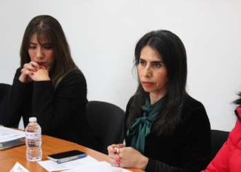 REALIZA IMES SESIÓN DEL OBSERVATORIO DE PARTICIPACIÓN POLÍTICA DE LAS MUJERES