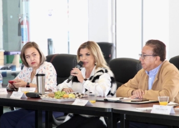 ÁNGELES HERMOSILLO ASUME LA PRESIDENCIA DE LA COMISIÓN DE DESARROLLO Y EQUIPAMIENTO URBANO EN EL CABILDO DE LA CAPITAL
