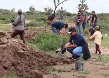 SECESP Y SEGAM UNEN ESFUERZOS PARA REFORESTAR SIERRA DE SAN MIGUELITO