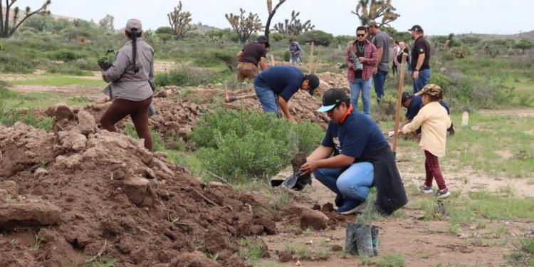 SECESP Y SEGAM UNEN ESFUERZOS PARA REFORESTAR SIERRA DE SAN MIGUELITO