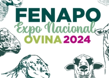 GOBIERNO ESTATAL PREPARA MUESTRA GANADERA EN LA FENAPO 2024