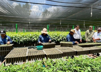 SEGAM IMPULSA PRODUCCIÓN AGRÍCOLA EN VIVEROS DE SEDENA