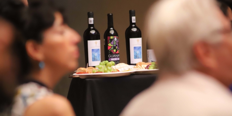 EL VALLE DE SAN FRANCISCO BUSCA RENACER COMO REGIÓN VITIVINÍCOLA EN MÉXICO