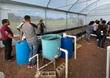 PROMUEVE GOBIERNO ESTATAL PRODUCCIÓN SUSTENTABLE DE PECES Y PLANTAS