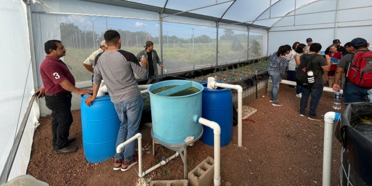 PROMUEVE GOBIERNO ESTATAL PRODUCCIÓN SUSTENTABLE DE PECES Y PLANTAS