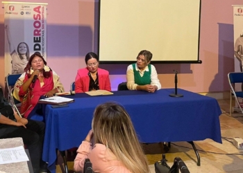 EL EJECUTIVO ESTATAL BRINDA MÁS APOYO A MUJERES CON DISCAPACIDAD