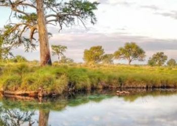 DEFINEN COMO ÁREA DE CONSERVACIÓN AL MANANTIAL LOS PEROLES EN LA REGIÓN MEDIA