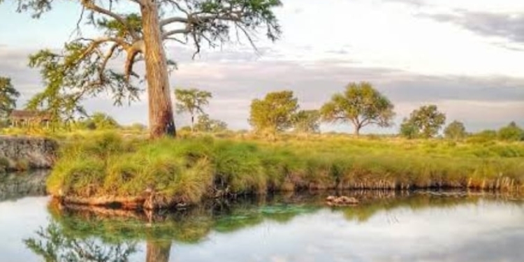 DEFINEN COMO ÁREA DE CONSERVACIÓN AL MANANTIAL LOS PEROLES EN LA REGIÓN MEDIA