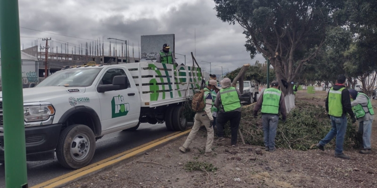EL ESTADO Y EL AYUNTAMIENTO DE SOLEDAD MEJORAN IMAGEN URBANA DE LA CARRETERA 57