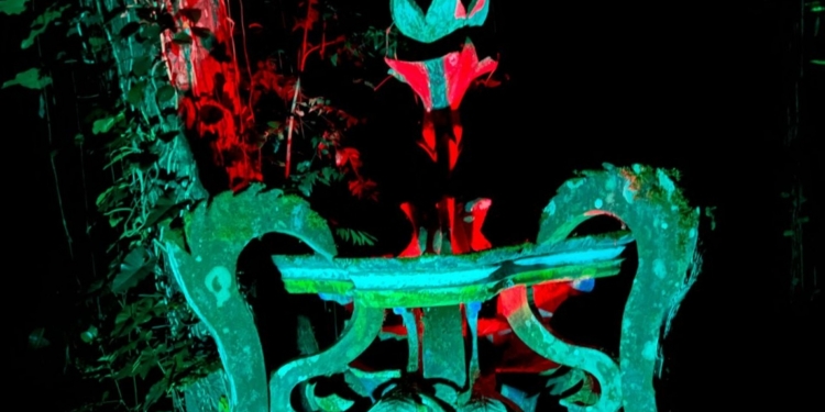 “LUCES Y SOMBRAS”: EL JARDÍN ESCULTÓRICO EDWARD JAMES SE ILUMINA CON NUEVA PROPUESTA NOCTURNA