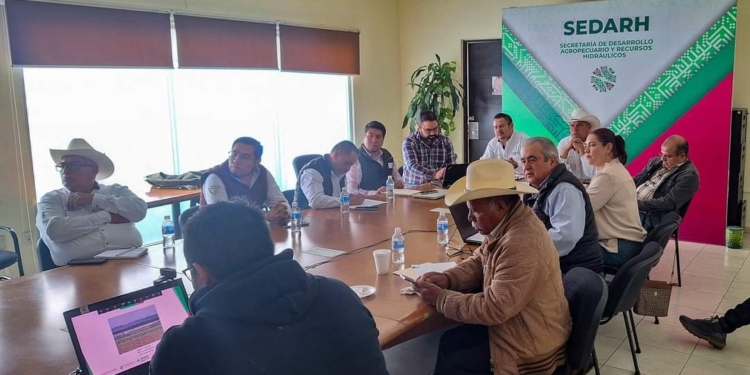 EL EJECUTIVO ESTATAL COORDINA EVALUACIÓN DE ESTATUS SANITARIO DE GANADO