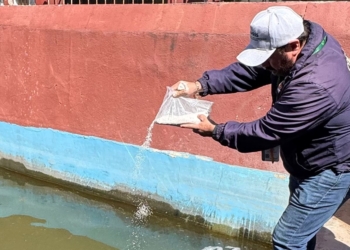 EJECUTIVO IMPLEMENTA OPERATIVO DE CONTROL SANITARIO POR DÍA DE MUERTOS