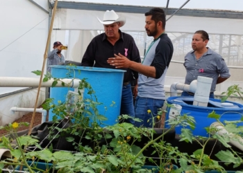GOBIERNO ESTATAL DETONARÁ ACUAPONÍA EN APOYO A LAS FAMILIAS POTOSINAS