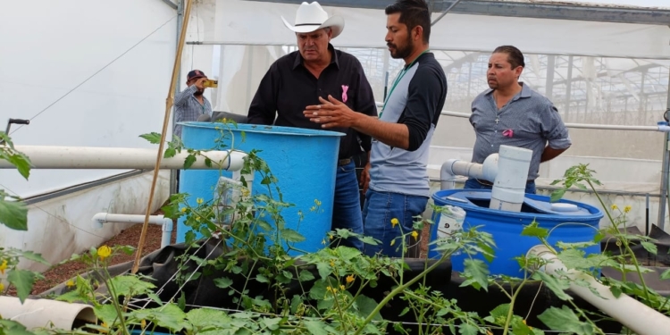 GOBIERNO ESTATAL DETONARÁ ACUAPONÍA EN APOYO A LAS FAMILIAS POTOSINAS