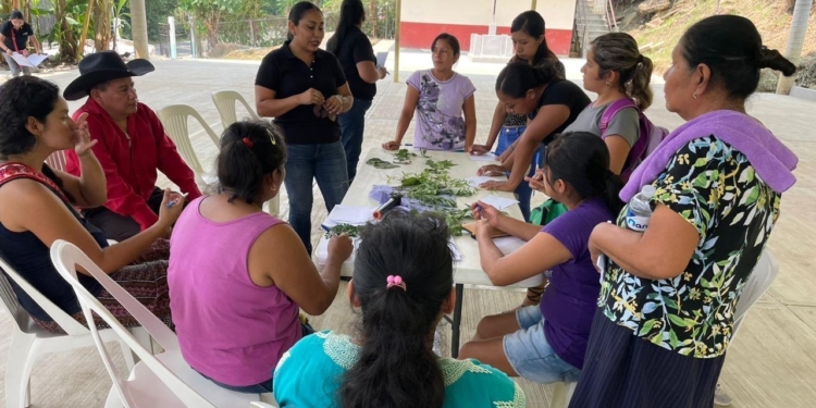 EL ESTADO PROMUEVE LA MEDICINA TRADICIONAL ENTRE JÓVENES PUEBLOS ORIGINARIOS