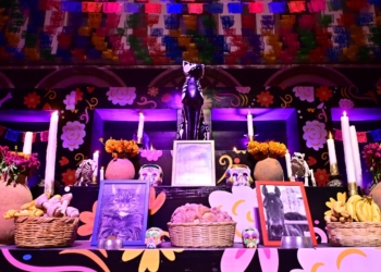 EJECUTIVO ESTATAL INSTALA MONUMENTAL ALTAR DE MUERTOS EN HONOR A LAS MASCOTAS