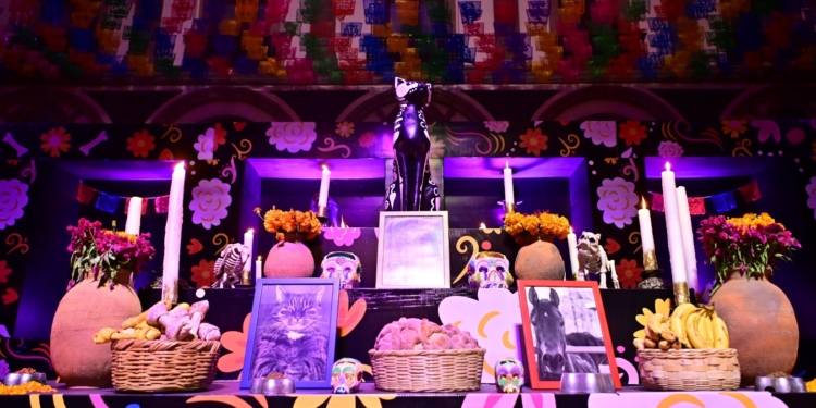 EJECUTIVO ESTATAL INSTALA MONUMENTAL ALTAR DE MUERTOS EN HONOR A LAS MASCOTAS