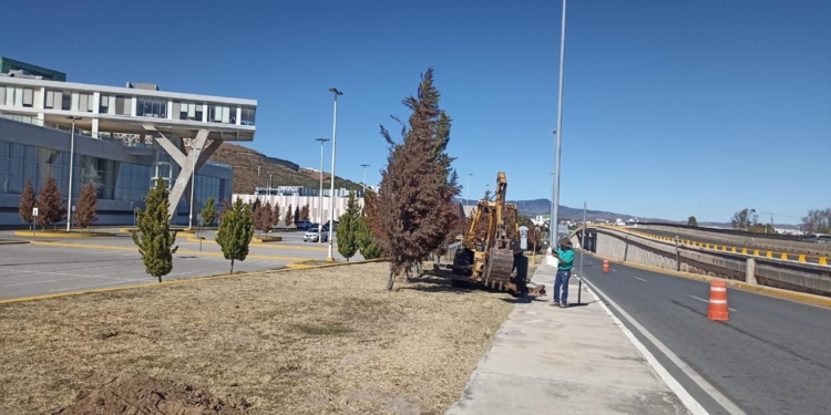 GOBIERNO ESTATAL REFORESTARÁ EL CENTRO DE CONVENCIONES