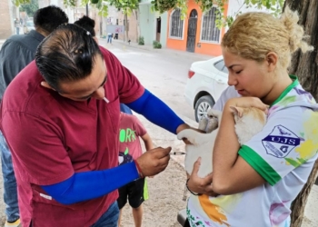 GOBIERNO DEL ESTADO FORTALECE VACUNACIÓN ANTIRRÁBICA PARA MASCOTAS