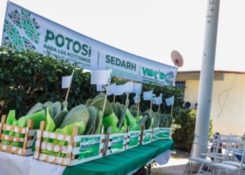 MUJERES RECIBEN APOYO PARA IMPULSAR PROYECTOS AGRÍCOLAS 