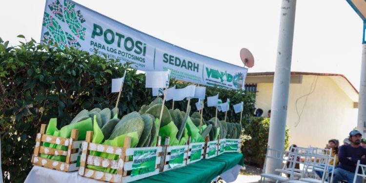 MUJERES RECIBEN APOYO PARA IMPULSAR PROYECTOS AGRÍCOLAS