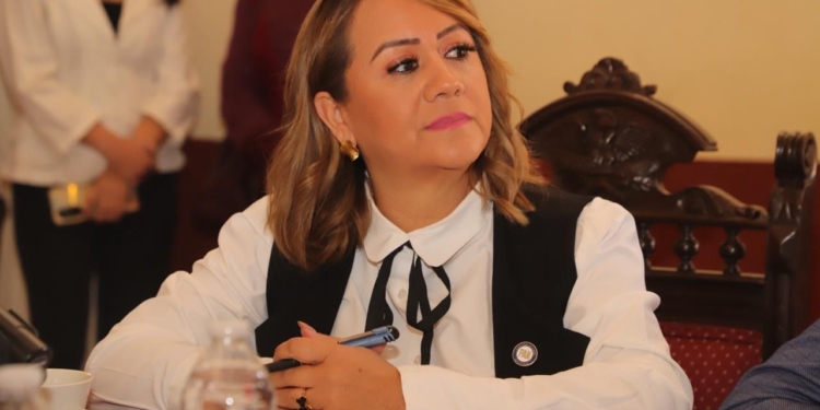 Prohibir venta de pirotecnia protegerá a la población, animales y el medio ambiente: Regidora Maritza Vázquez