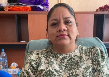 DIARIAS LAS PULSERAS PARA ZONA DE DISCAPACITADOS DURANTE LA FEREVILLA: SMDIF