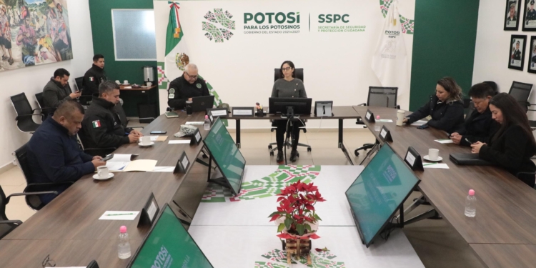 La Mesa de Coordinación para la Construcción de la Paz Social es encabezada por la Subsecretaria de Enlace Interinstitucional, Ana Sofia Aguilar Rodriguez