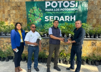 AVANZA EJECUTIVO ESTATAL ACCIONES DE REFORESTACIÓN A FAVOR DEL MEDIO AMBIENTE