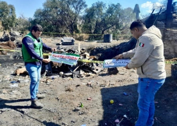 EJECUTIVO ESTATAL SUSPENDE ACTIVIDAD DE LADRILLERA EN VILLA DE ARRIAGA