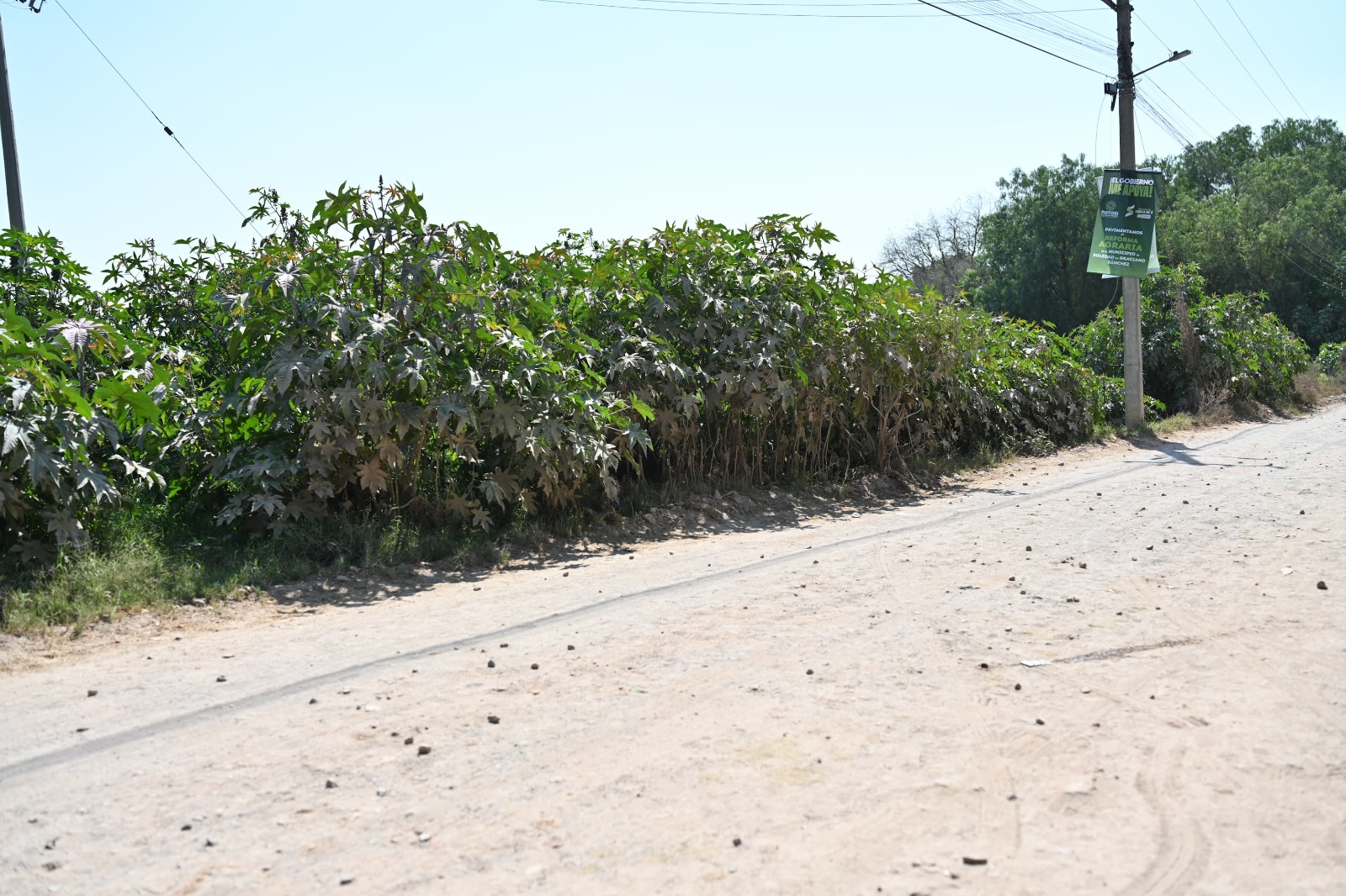 INICIA RICARDO GALLARDO PAVIMENTACIÓN DE AVENIDA REFORMA AGRARIA EN SOLEDAD