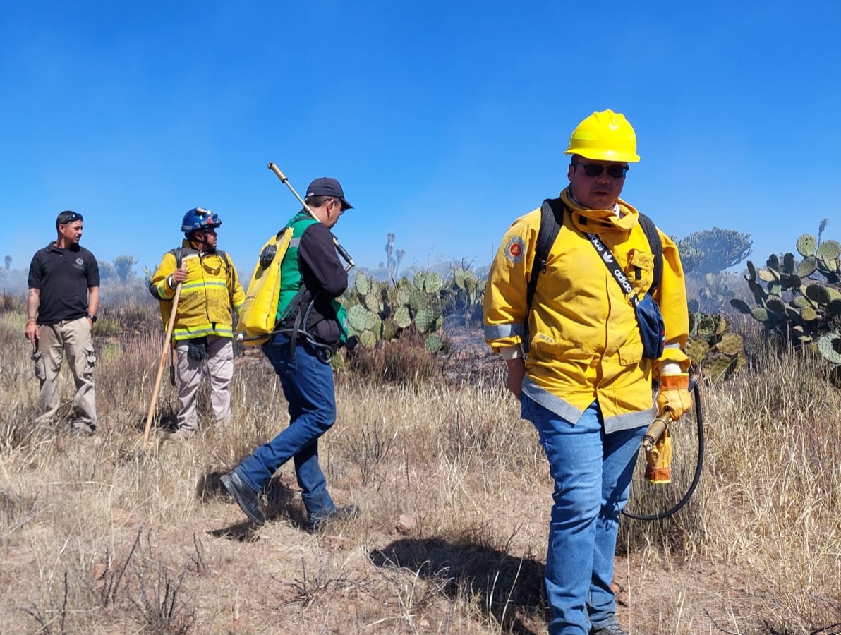 EL ESTADO EN VIGILANCIA PERMANENTE POR TEMPORADA DE INCENDIOS FORESTALES