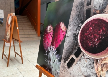 EXPOSICIÓN FOTOGRÁFICA “DEL ELIXIR DE LOS DIOSES A LA MEZCALERÍA”