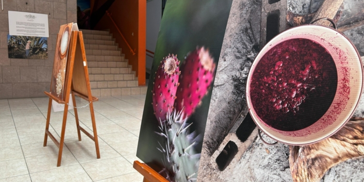 EXPOSICIÓN FOTOGRÁFICA “DEL ELIXIR DE LOS DIOSES A LA MEZCALERÍA”