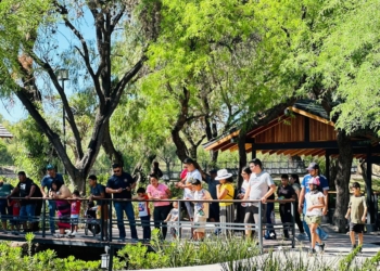 MÁS DE 125 MIL VISITANTES DISFRUTARON DÍA DE LA FAMILIA EN PARQUES ESTATALES