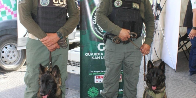  La Guardia Civil Estatal participó en la Red De Gestión Comunitaria