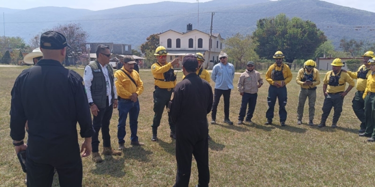 GOBIERNO DEL ESTADO REALIZA SOBREVUELO EN INCENDIOS FORESTALES