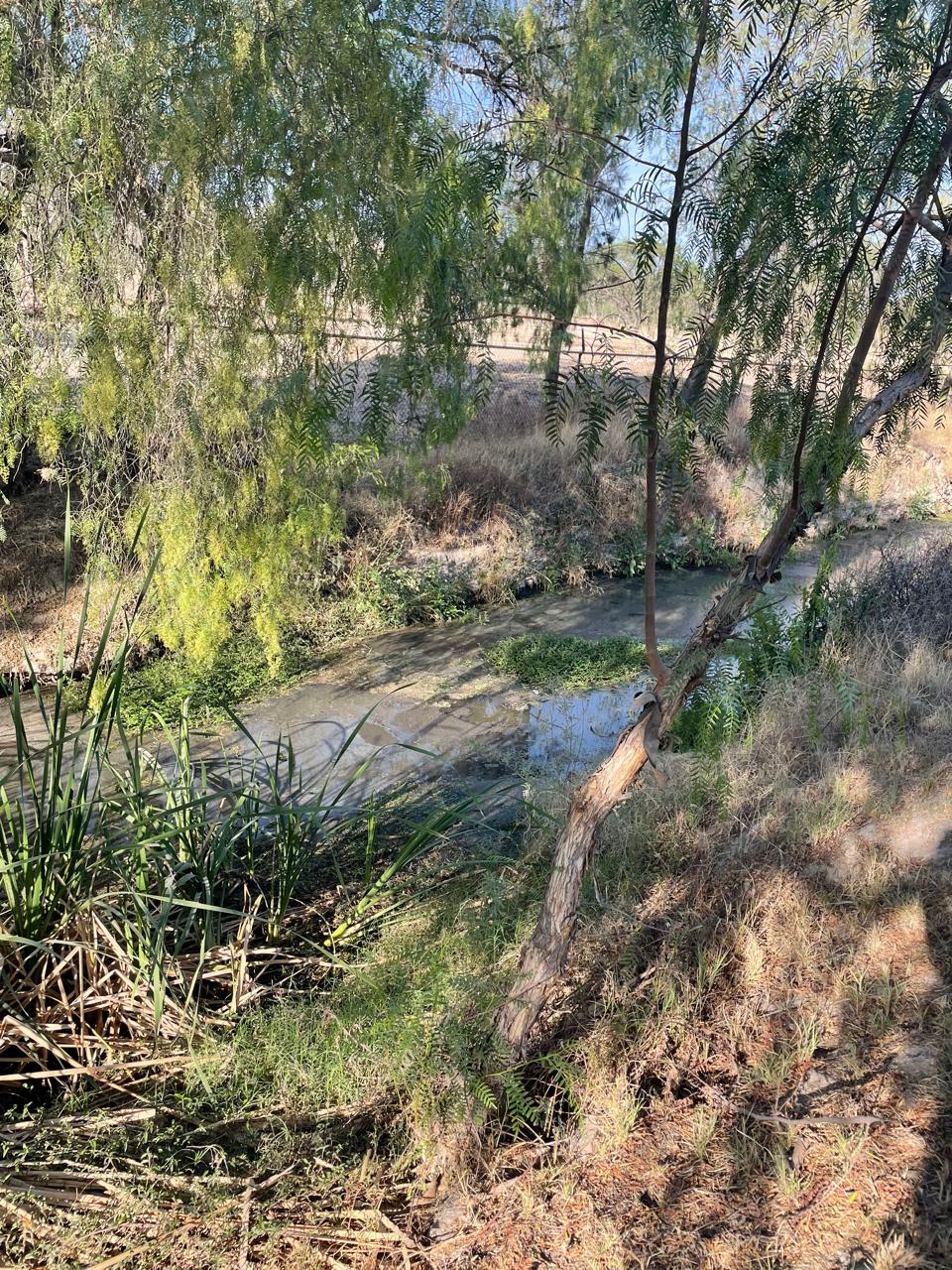 PLANTAS TRATADORAS DE AGUA DEL TANGAMANGA SON OPERADAS POR INTERAPAS: CEA