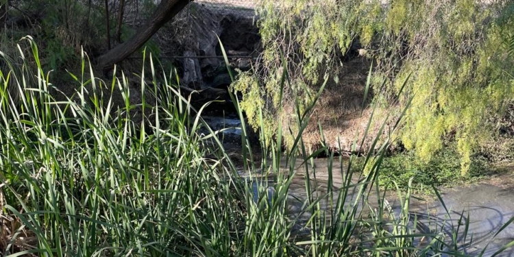PLANTAS TRATADORAS DE AGUA DEL TANGAMANGA SON OPERADAS POR INTERAPAS: CEA