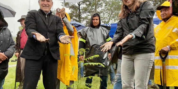 Gobierno de la Capital e iniciativa privada reforestan La Garita en jornada de Capital al 100