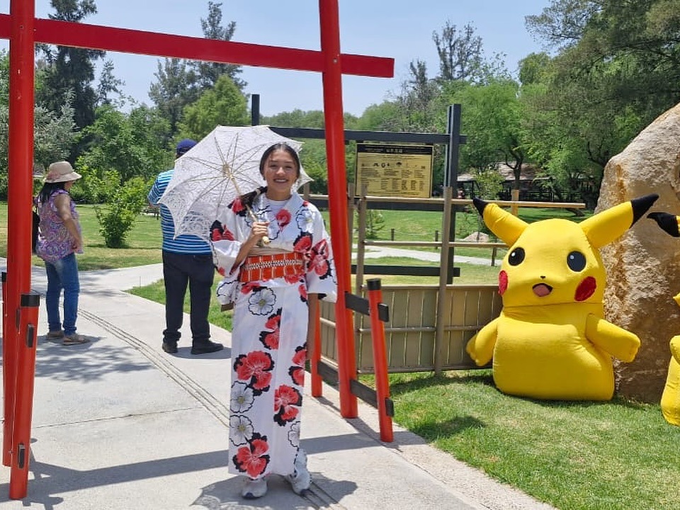 SLP CON MENOS MUJERES VÍCTIMAS DE FEMINICIDIO, CORRUPCIÓN Y LESIONES DOLOSAS
