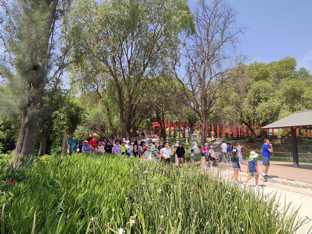 SLP CON MENOS MUJERES VÍCTIMAS DE FEMINICIDIO, CORRUPCIÓN Y LESIONES DOLOSAS