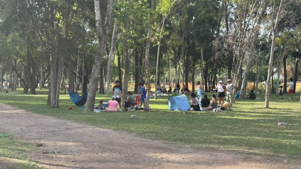 SLP CON MENOS MUJERES VÍCTIMAS DE FEMINICIDIO, CORRUPCIÓN Y LESIONES DOLOSAS