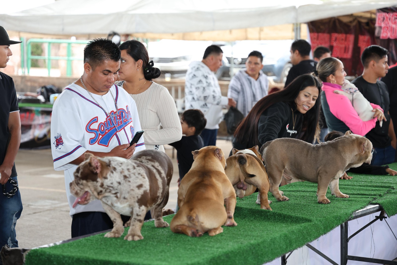 EXPOSICIÓN CANINA Y EXHIBICIÓN DE AUTOS DIERON VIDA A LA FENAPO EL FIN DE SEMANA