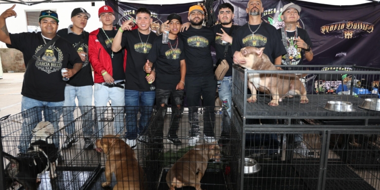 EXPOSICIÓN CANINA Y EXHIBICIÓN DE AUTOS DIERON VIDA A LA FENAPO EL FIN DE SEMANA