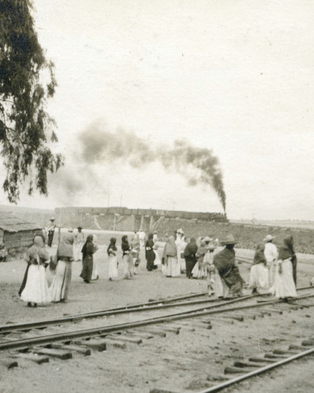 PRESENTARÁN DOCUMENTAL “ESPERANZA, LAS VENDEDORAS DEL TREN”.